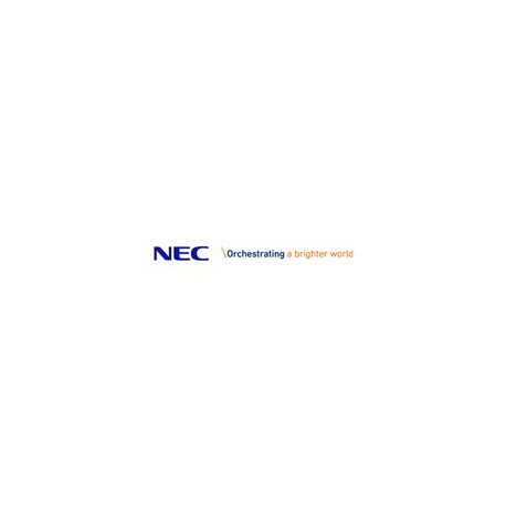 NEC NP70CM - Kit montaggio (montaggio a soffitto) - per proiettore - installabile a soffitto - per NEC NP-PX700, NP-PX700W-08, 