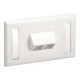 Panduit NetKey Horizontal Sloped Screw-On Faceplate - Faceplate - bianco spento - 1 modulo - 2 porte