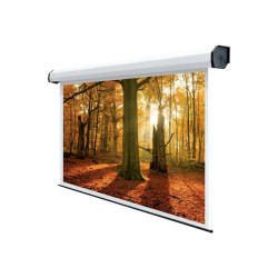 SOPAR Electric Rubin - Schermo per proiezione - montaggio a soffitto, montaggio a parete - motorizzato - 230 V - 170" (432 cm) 