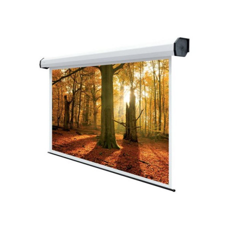 SOPAR Electric Rubin - Schermo per proiezione - montaggio a soffitto, montaggio a parete - motorizzato - 230 V - 252" (640 cm) 