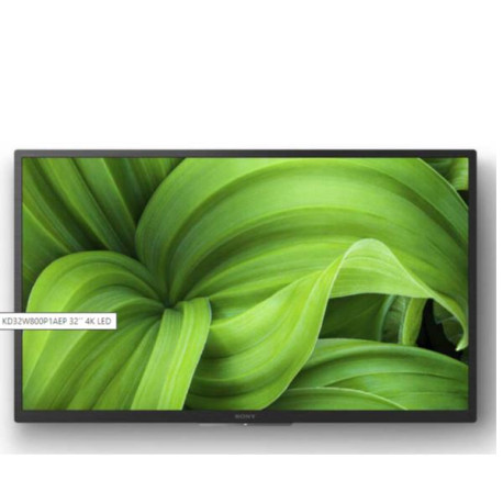 TV 32 W800 HD READY ANDROID TV