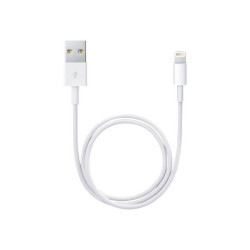 Apple - Cavo Lightning - Lightning maschio a USB maschio - 50 cm