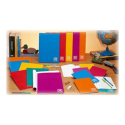 Blasetti One Color MAXI - Taccuino - graffettato - A4 - 40 fogli / 80 pagine - quadretti - disponibile in colori assortiti