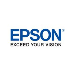 Epson - Cassetto carta - 250 fogli - per WorkForce AL-MX300DN, AL-MX300DNF, AL-MX300DTN, AL-MX300DTNF