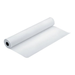 Epson Premium - Lucido - Rotolo (111,8 cm x 30,5 m) - 260 g/m² - 1 rotoli carta fotografica - per Stylus Pro 11880, Pro 98XX- S