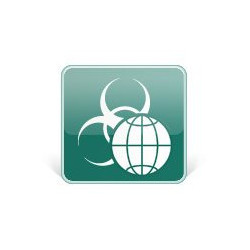 Kaspersky Security for Internet Gateway - Licenza a termine (1 anno) - 1 licenza aggiuntiva - volume - Livello K (10-14) - Linu