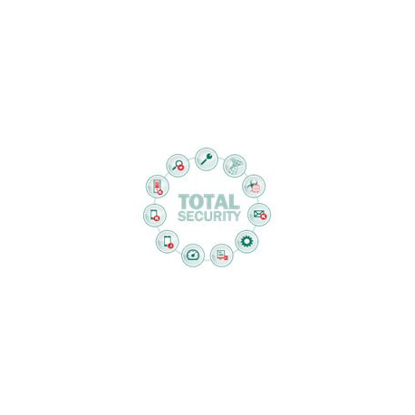 Kaspersky Total Security for Business - Aggiornamento licenza di abbonamento (1 anno) - 1 nodo - volume - Livello K (10-14) - E