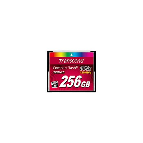 Transcend Premium - Scheda di memoria flash - 256 GB - 800x - CompactFlash