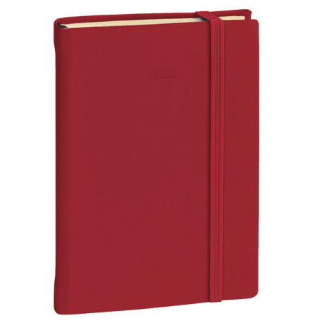 Agenda giornaliera - Daily 21 Prestige 2025 - 13 x 21 cm - copertina Silk - bordeaux - Quo Vadis