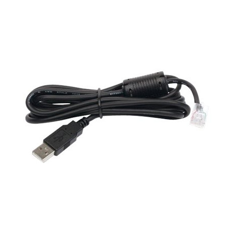 APC - Cavo USB - USB (M) a RJ-45 (10 pin) (M) - 1.8 m - nero - per Back-UPS LS 500