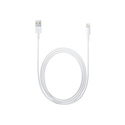 Apple - Cavo Lightning - Lightning maschio a USB maschio - 2 m