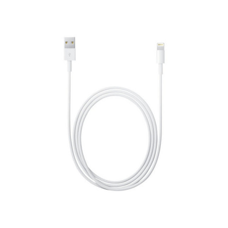 Apple - Cavo Lightning - Lightning maschio a USB maschio - 2 m