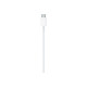 Apple - Cavo Lightning - USB-C maschio a Lightning maschio - 2 m - per iPad/iPhone/iPod (Lightning)