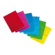 Blasetti Colorclub PPL - Taccuino - rilegatura a spirale - A4 - 70 fogli / 140 pagine - quadretti - 4 fori - disponibile in col