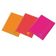 Cartella Fluo One Color - 3 lembi - c/elastico - dorso 1 cm - colori assortiti - Blasetti