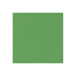 CANSON Iris Vivaldi - Carta - A4 - 50 fogli - verde chiaro - 185 g/m²