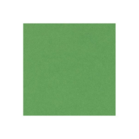 CANSON Iris Vivaldi - Carta - A4 - 50 fogli - verde chiaro - 185 g/m²