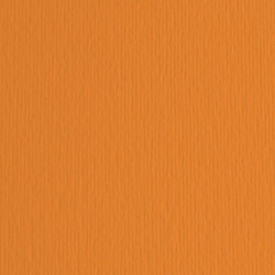 Cartoncino Elle Erre - 50x70cm - 220gr - arancio 108 - Fabriano -  blister 20 fogli