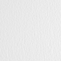 Cartoncino Elle Erre - 50x70cm - 220gr - bianco - Fabriano - blister 20 fogli