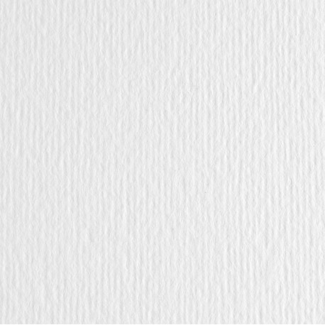 Cartoncino Elle Erre - 50x70cm - 220gr - bianco - Fabriano - blister 20 fogli