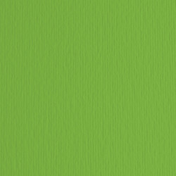 Cartoncino Elle Erre - 50x70cm - 220gr - verde 111 - Fabriano -  blister 20 fogli