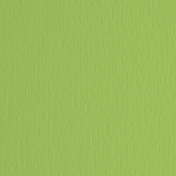 Cartoncino Elle Erre - 50x70cm - 220gr - verde pisello 110 - Fabriano -  blister 20 fogli