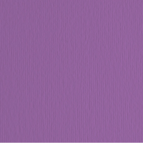 Cartoncino Elle Erre - 50x70cm - 220gr - viola 104 - Fabriano - blister 20 fogli