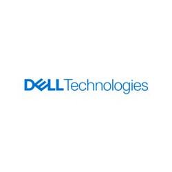 Dell - Custom Kit - HDD - 22 TB - hot swap - 3.5" - SAS 12Gb/s - 7200 rpm