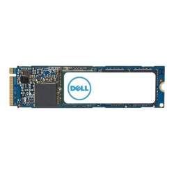 Dell - SSD - 1 TB - interno - M.2 2280 - PCIe 4.0 x4 (NVMe) - per Alienware m16 R1, m18 R1, x16 R1- Inspiron 15 3530, 16 56XX- 