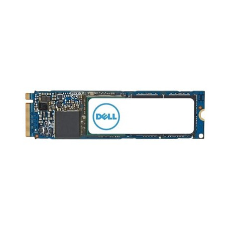 Dell - SSD - 1 TB - interno - M.2 2280 - PCIe 4.0 x4 (NVMe) - per Alienware m16 R1, m18 R1, x16 R1- Inspiron 15 3530, 16 56XX- 