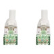 DIGITUS - Cavo patch - RJ-45 (M) a RJ-45 (M) - 2 m - SFTP - CAT 8.1 - IEEE 802.3 - senza alogeni, stampato - grigio