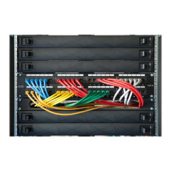 DIGITUS Professional - Pannello di riempimento rack - nero - 1U - 19"