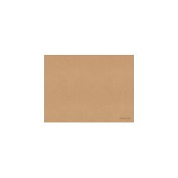 Duni GO ecoecho - Tovaglietta - Dimensione 30 x 40 cm - usa e getta - marrone eco (pacchetto di 250)