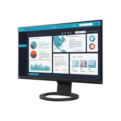 EIZO FlexScan EV2490-BK - Con FlexStand - monitor a LED - 23.8" - 1920 x 1080 Full HD (1080p) @ 60 Hz - IPS - 250 cd/m² - 1000: