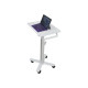 Ergotron StyleView S-Tablet Cart - Carrello - per tablet - bloccabile - acciaio verniciato a polvere - bianco, alluminio - dime
