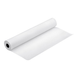 Epson - Lucido - Rotolo (43,2 cm x 30,5 m) - 250 g/m² - 1 rotoli carta fotografica - per SureColor P5000, P800, SC-P10000, P200