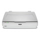 Epson Expression 13000XL - Scanner piano - A3 - 2400 dpi x 4800 dpi - USB 2.0