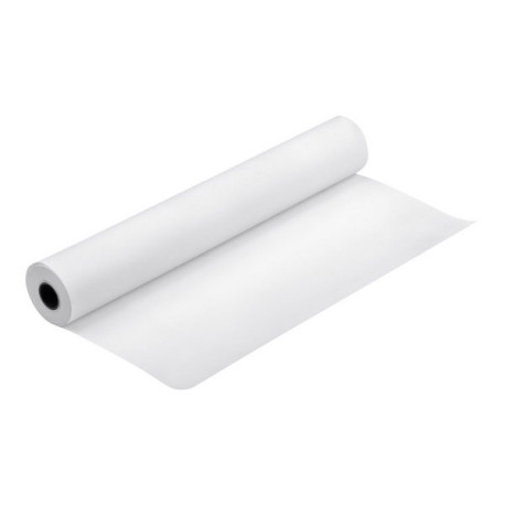 Epson Premium Glossy Photo Paper (250) - Lucido - Rotolo (152,4 cm x 30,5 m) - 260 g/m² - 1 rotoli carta fotografica - per Styl