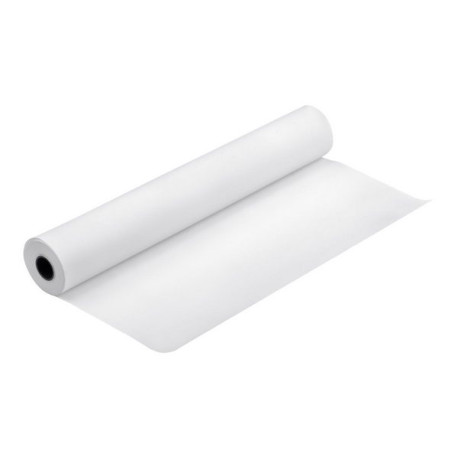 Epson Premium Luster Photo Paper (260) - Brillante - Rotolo (50,8 cm x 30,5 m) 1 rotoli carta fotografica - per SureColor SC-P1