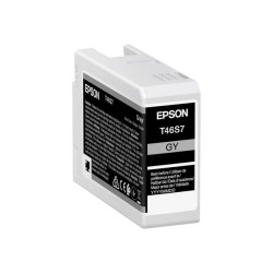 Epson T46S7 - 25 ml - grigio - originale - cartuccia d'inchiostro - per SureColor P706, SC-P700, SC-P700 Mirage Bundling