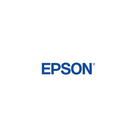 Epson T55W9 - 200 ml - grigio chiaro - originale - cartuccia d'inchiostro