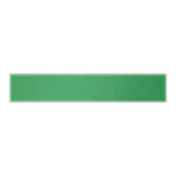 Favini Bristol Color 200 Sigillo T1 60 - Cartoncino - 700 x 1000 mm - 10 fogli - verde - 200 g/m² - cartone