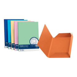 FAVINI HOME-OFFICE PROFESSIONAL Luce-Acqua - Cartelletta a 3 lembi - per 245 x 345 mm - colori assortiti (pacchetto di 25)