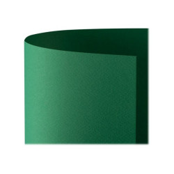 Favini Prisma 37 - Cartoncino - T1 - 700 x 1000 mm - 220 g/m² - 10 fogli - verde