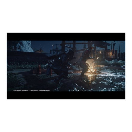 Ghost of Tsushima Director's Cut - PlayStation 4