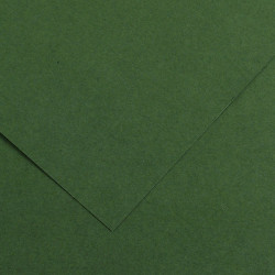 Foglio Colorline - 70x100 cm - 220 gr - verde abete - Canson