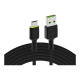 Green Cell Cell Ray - Cavo USB - 24 pin USB-C (M) green LED illumination a USB (M) - 2 m - nero