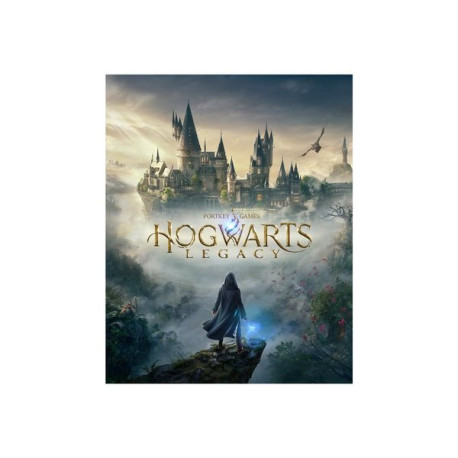 Hogwarts Legacy - PlayStation 4