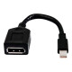 HP - Adattatore DisplayPort - Mini DisplayPort (M) a DisplayPort (F) - per Elite 800 G9- Workstation Z2 G8, Z2 G9, Z4 G5, Z6 G5