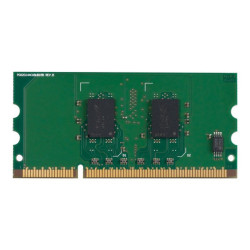 HP - DDR2 - modulo - 256 MB - SO DIMM 144-pin - 400 MHz / PC2-3200 - senza buffer - non ECC - per Color LaserJet Professional C